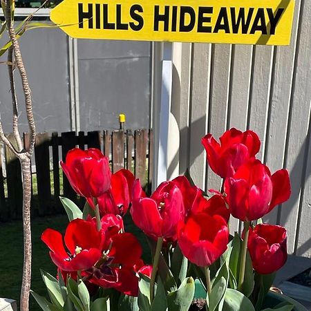 Hill'S Hideaway Hotell Dargaville Exteriör bild